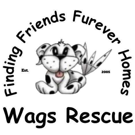 Wags Rescue