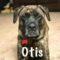Otis aka Robbs Society
