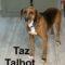 Taz Talbot