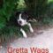 Gretta Wags