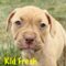 Kid Fresh Nugget Wags