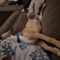 Briar Marcum Pawsquad