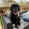 Winnie Talbot