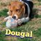 Dougal Society