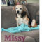 Missy Hall Talbot