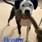 Buster H Philly