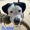Buster H Philly