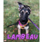 Lambeau Society