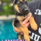 Lambeau Society