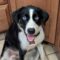 Happy Maggie May Pawsquad