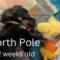 North Pole Society