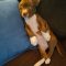 Doozy Society
